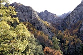 le-canigou-l-automne.jpg